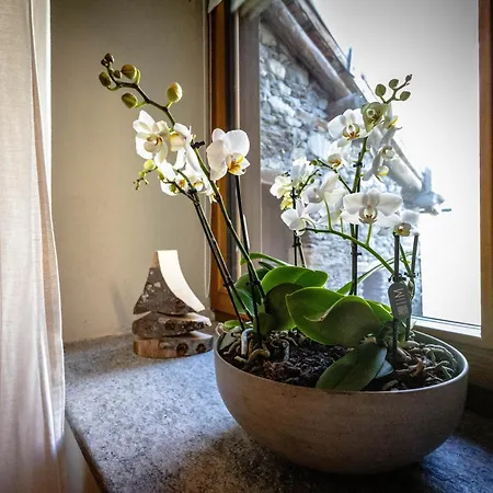 Lo Paglier - Le Four Des Alpes * Rhemes-Saint-Georges